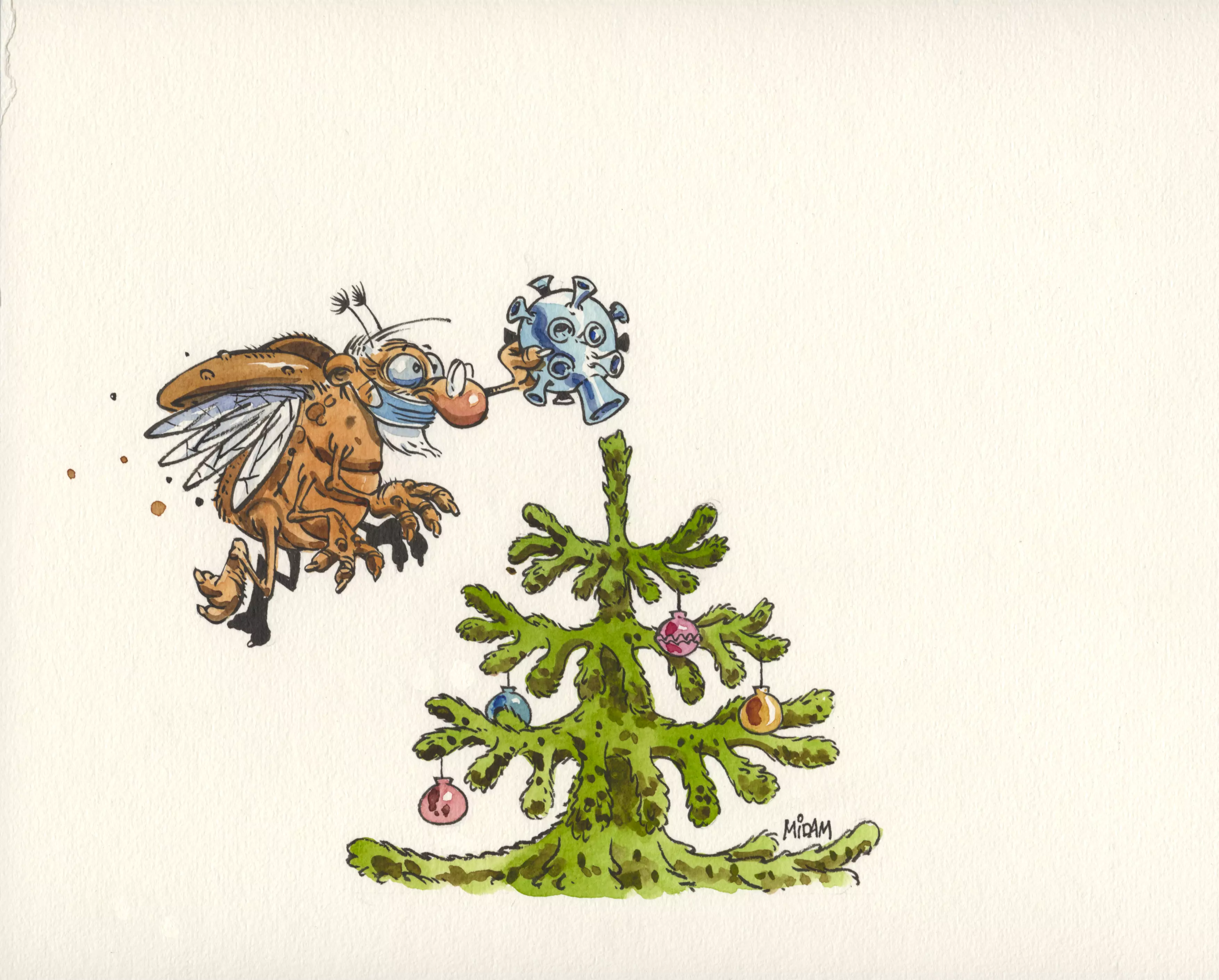 Le sapin de Gomy 
